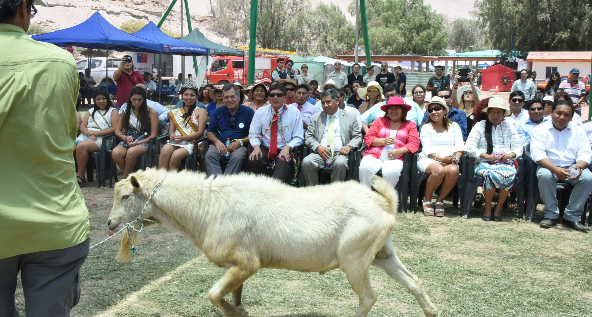 Chivo.jpg
