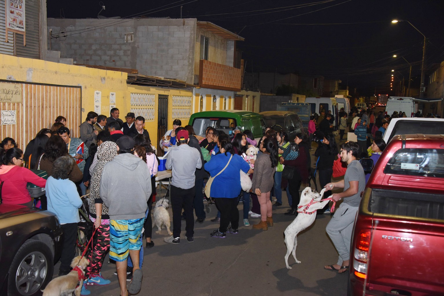 ESTERILIZACIÓN MASCOTAS SEPT.JPG