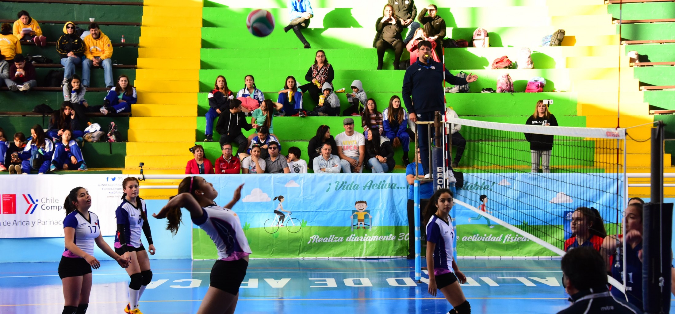 voleibol.JPG
